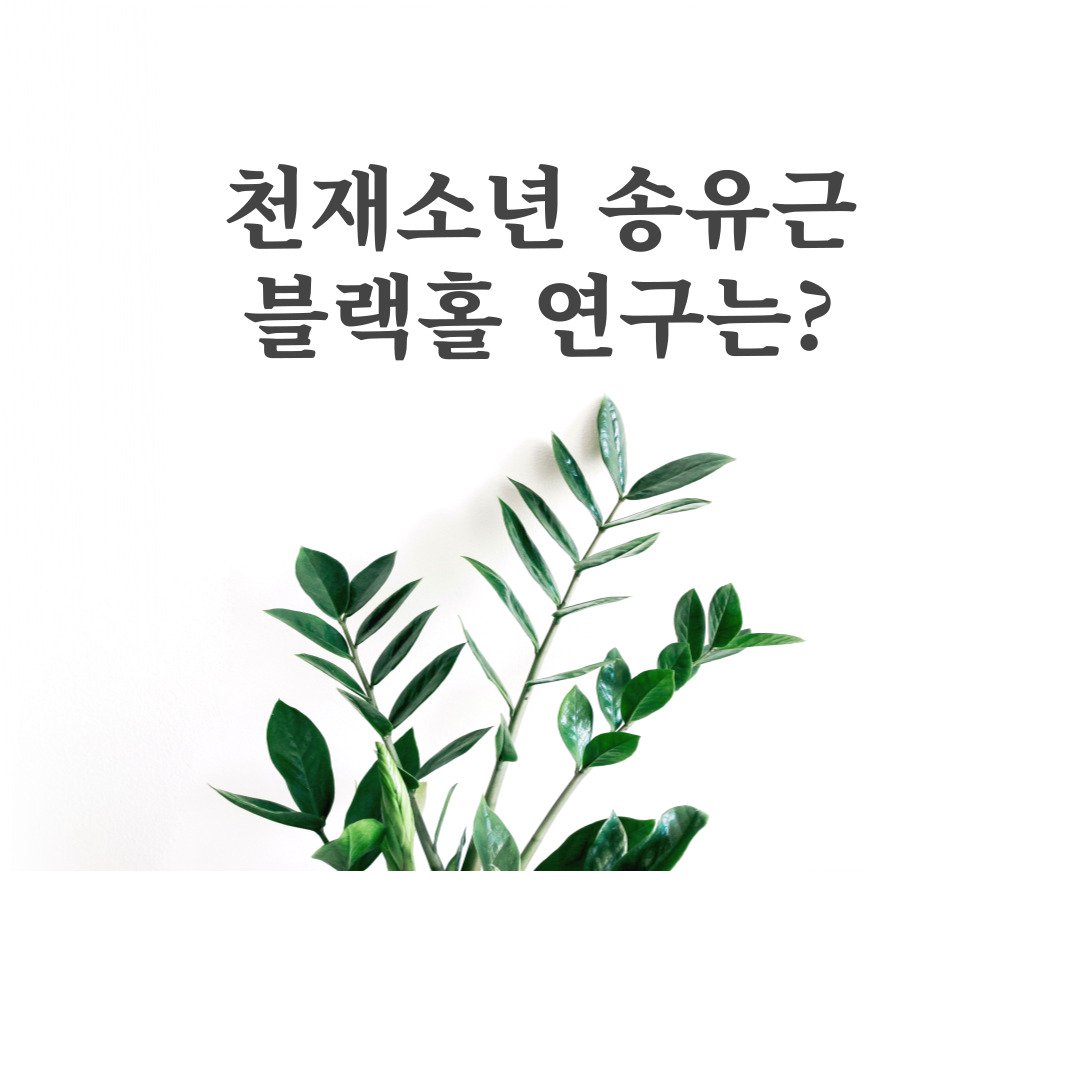 송유근 블랙홀 연구